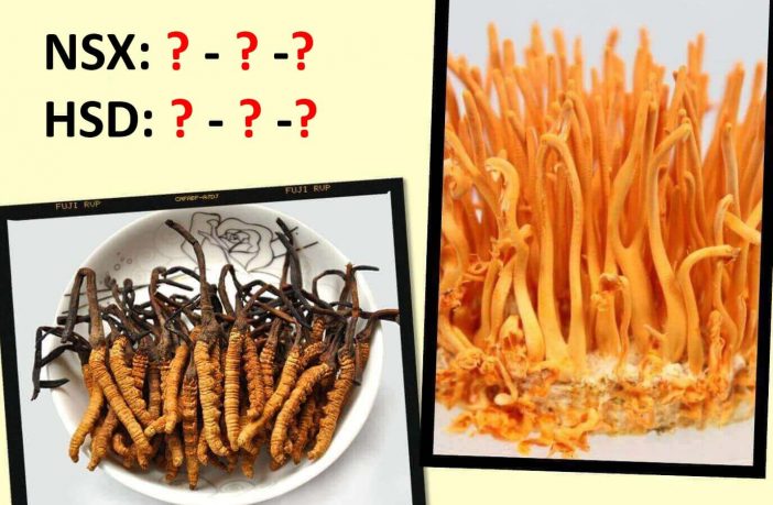 Thời gian sử dụng của một số loại đông trùng hạ thảo